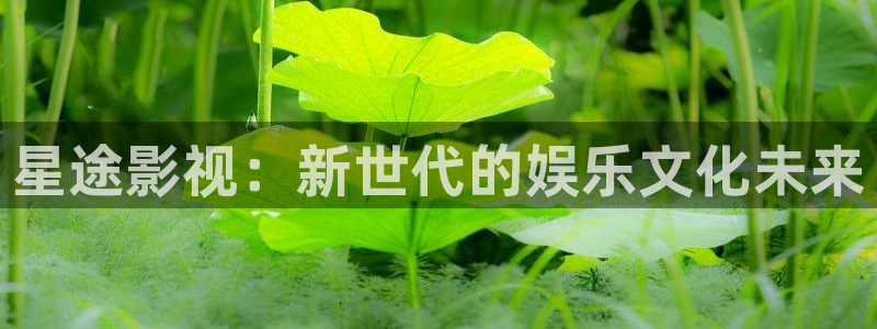 人人影院伦理片