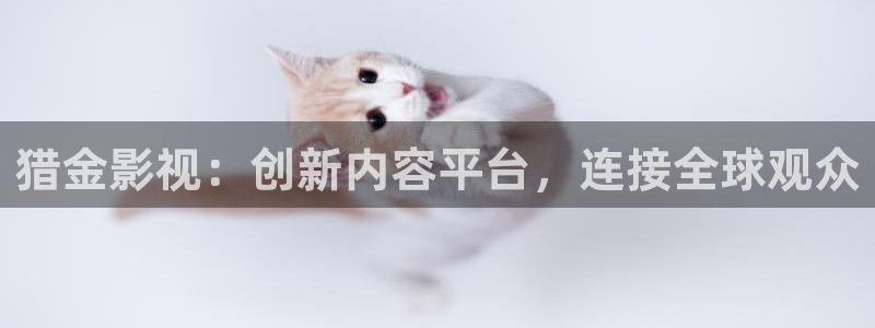 人人影院播放器