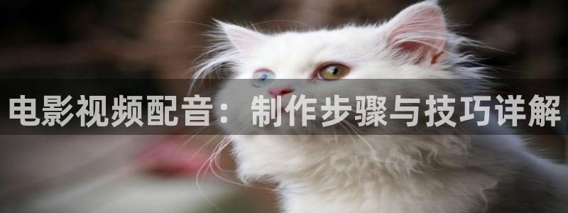 caowo人人影院