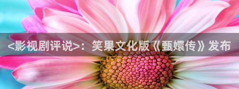 人人影视app下载