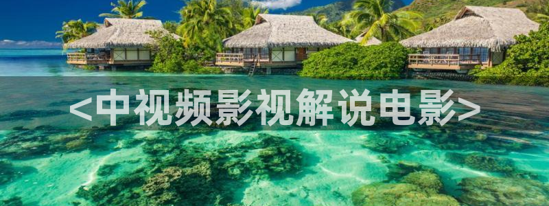 人人影视网
