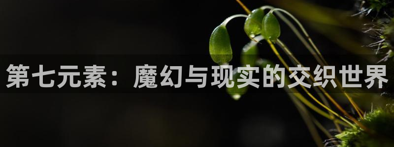 人人影视网站