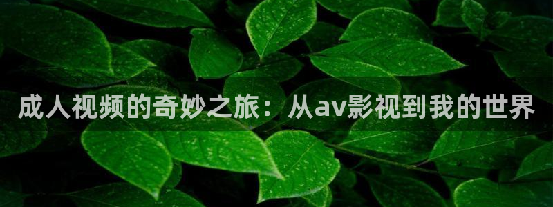 人人影院免费观看