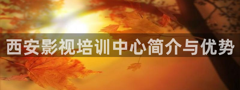 人人影院dvd
