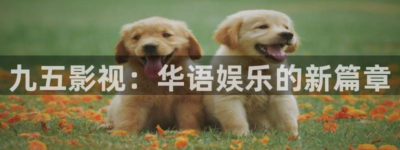 人人影院免费下载