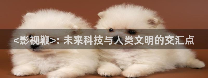 人人影视app免费观看