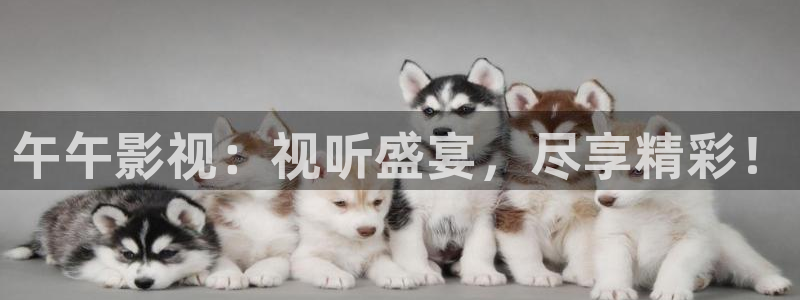 人人视频网页