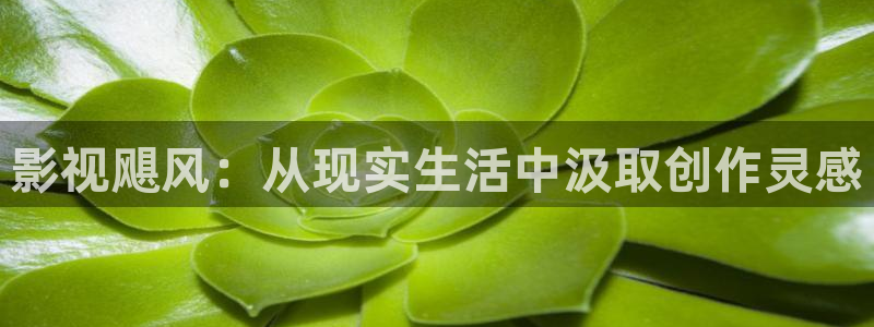 人人影视app免费观看