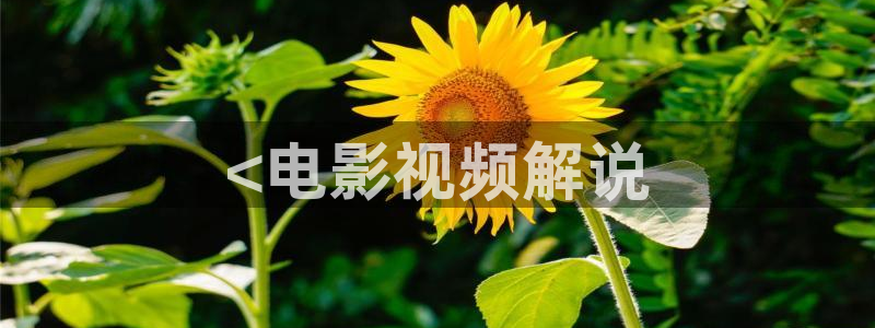 心有千千结电视剧全集人人影院