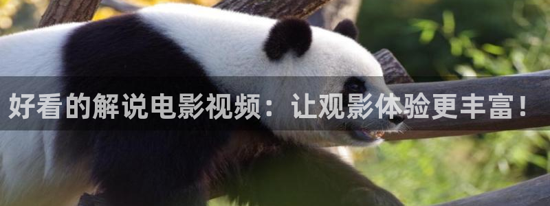 人人影剧院