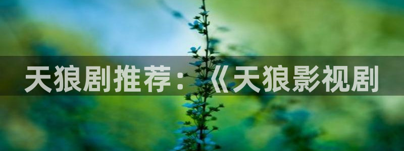 色人人影院