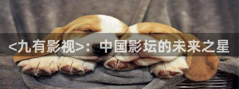 人人影音
