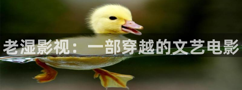 人人影院网