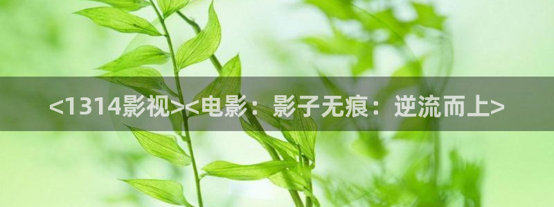 人人影院视频