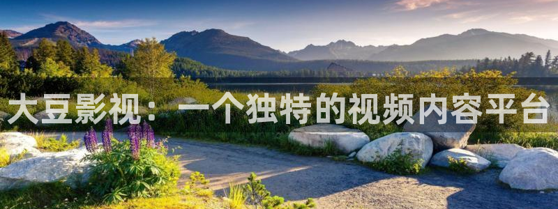 人人影院播放器