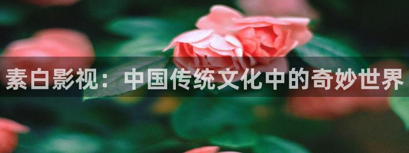 人人影视在线电视剧