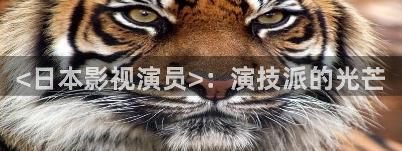 理论片人人影院