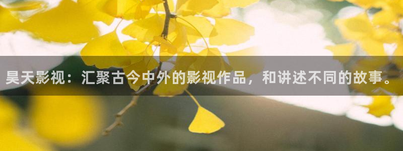 人人影视在线观看